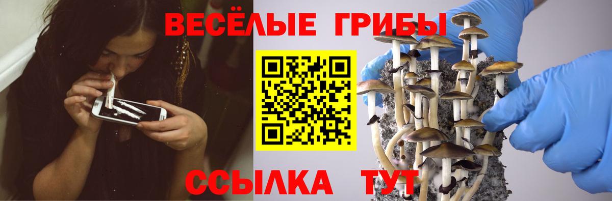 Новоуральск  Псилоцибиновые грибы ЛСД  Вход с VPN 